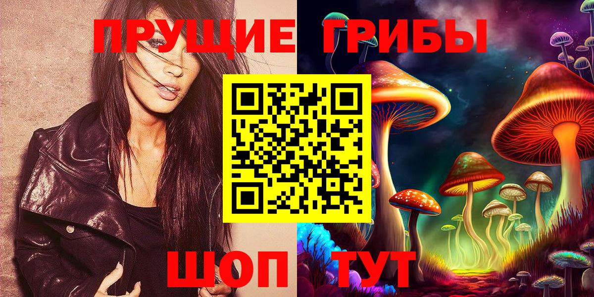 Галлюциногенные грибы Psilocybine cubensis Можайск